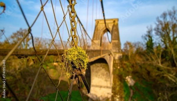 Fototapeta Suspension Bridge with Metal Chain and Moss Closeup in Daylight