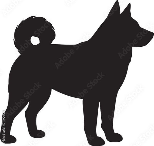 Obraz Silhouette of a norwegian elkhound dog standing proudly side profile facing right