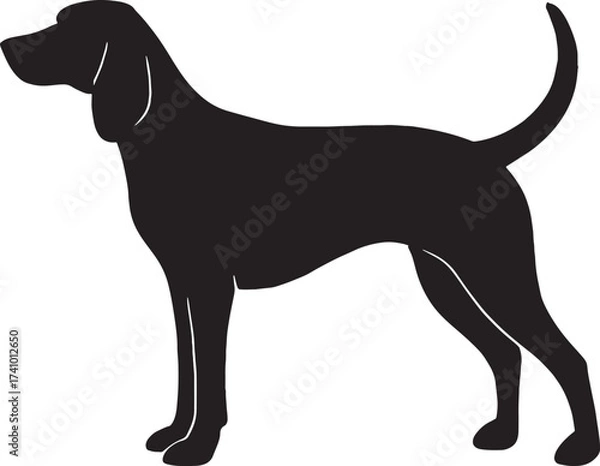 Fototapeta Silhouette of a majestic beagle dog standing proudly side profile silhouette art