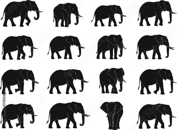 Obraz Elephant silhouette vector set, black animal icons, wildlife illustration pack, walking elephant poses, trunk up and down, side and rear view