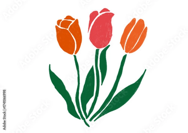 Fototapeta チューリップの手書きイラスト