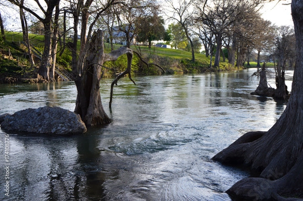 Obraz Cypress Bend Park