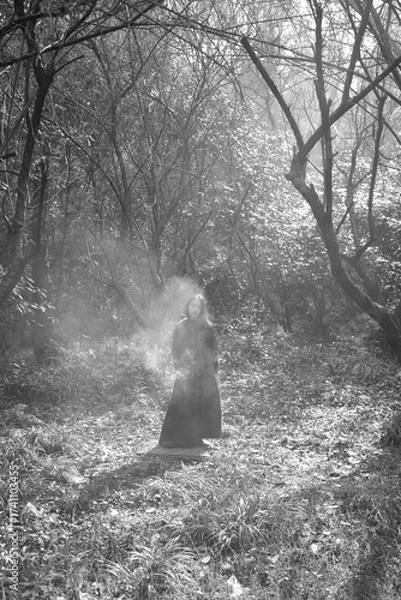 Fototapeta Woman in black dress standing in misty forest with soft sunlight filtering through trees.
