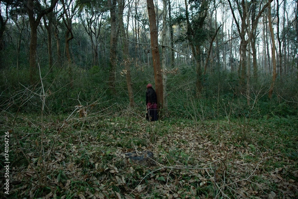 Fototapeta A woman in a red hat stands among trees in a tranquil forest setting.