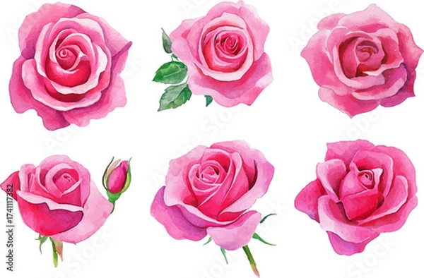 Fototapeta set of pink roses