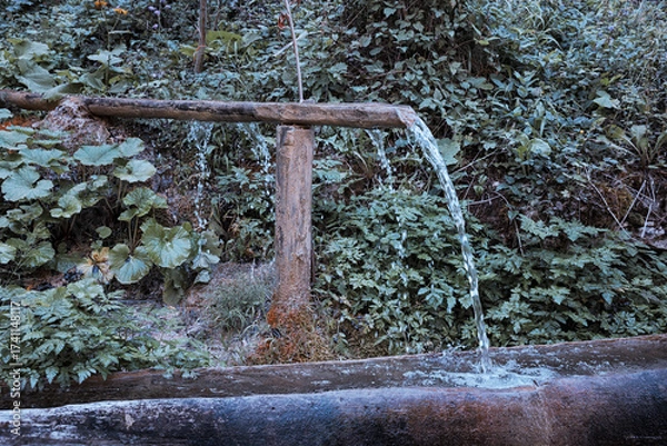 Fototapeta Clear water flowing from a natural bamboo water feature, capturing movement and freshness with green foliage blurring in the background