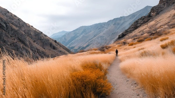 Obraz Solo Hiker Walking Along a Scenic Trail Surrounded by Rolling Hills and Golden Grasslands