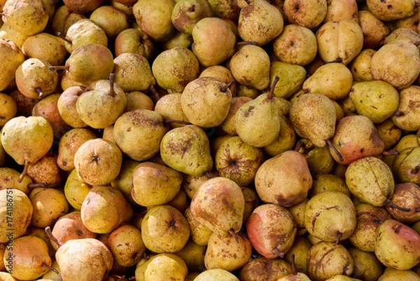 Fototapeta Fresh pears stacked in a market display