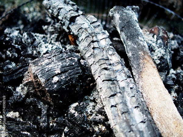 Obraz burning fire wood on ground and texture