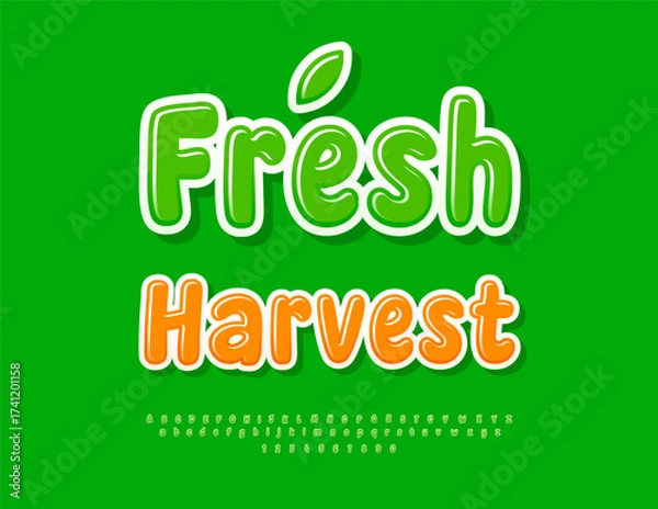 Fototapeta Vector Modern concept Fresh Harvest. Eco Green Font. Glossy Rounded Alphabet Letters and Numbers set.
