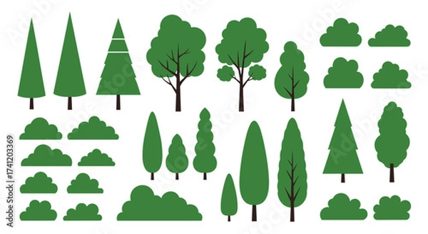 Fototapeta A collection of various green trees and bushes for landscaping projects.