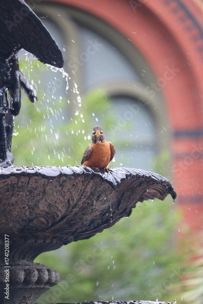 Obraz crow on a fence
