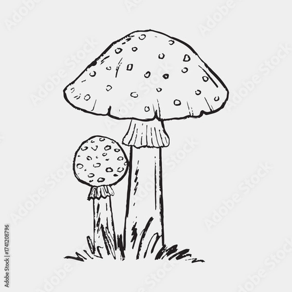 Fototapeta Hand drawn Amanita fly agaric poisonous mushrooms in grass. Vintage vector sketch crayon illustration. Autumn symbol, forest nature. Print design