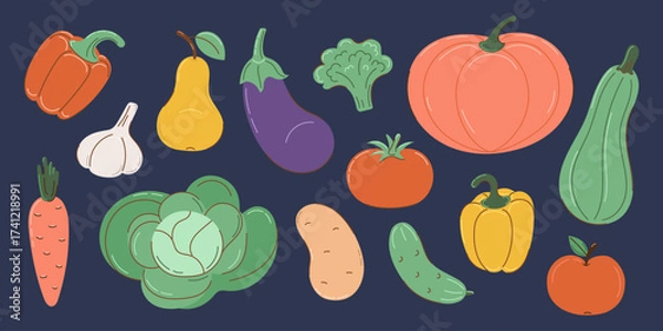 Fototapeta Set of autumn vegetables in flat style with partial outline. Collection on a dark background. Autumn and harvest concept. Vector illustration.