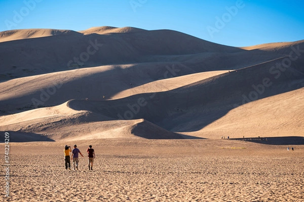 Fototapeta Tourists walking on desert landscape at Great Sand Dunes National Park in Colorado, USA. Curves of sand dunes casting shadow against the clear blue sky. The tallest dunes in North America