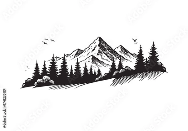 Fototapeta Vector silhouette line of fir trees and mountains. Hill of fir trees and mountain landscape, vector forest silhouette.