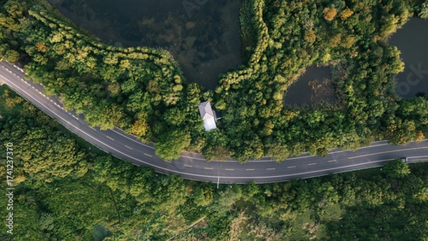 Fototapeta A winding road surrounded by lush greenery and a small house in the middle