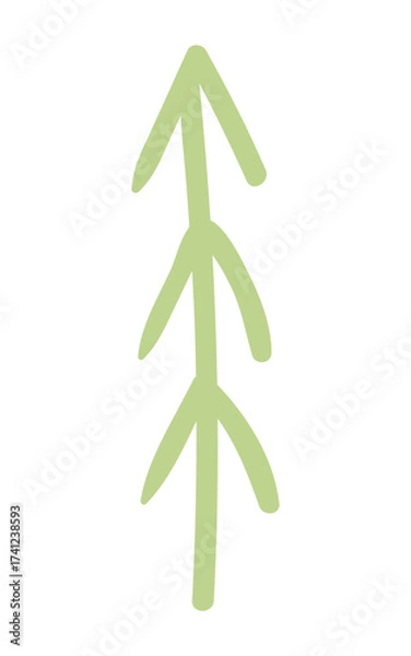 Fototapeta Fir, pine, spruce, conifer tree simple doodle isolated on transparent. Hand drawn flat vector illustration. Traditional holiday, Xmas, New Year, seasonal design element, clip art