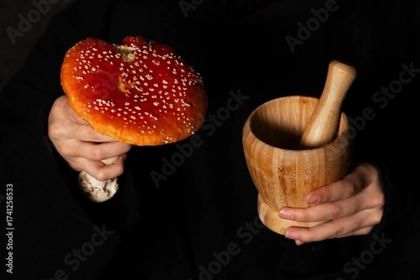 Obraz Witch with amanita