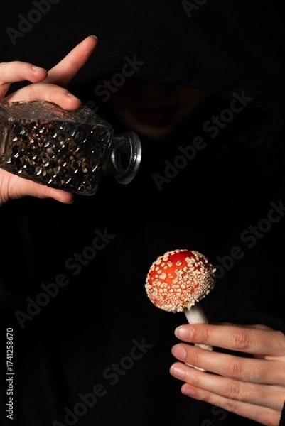Obraz Witch with amanita