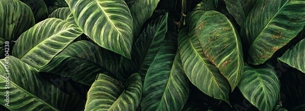 Obraz Lush Green Foliage Symphony Bold Botanical Illustration Striking Pattern Rich Textures Captivating Greenery Vibrant Garden Paradise Exotic Leaves Abundance. Generative AI