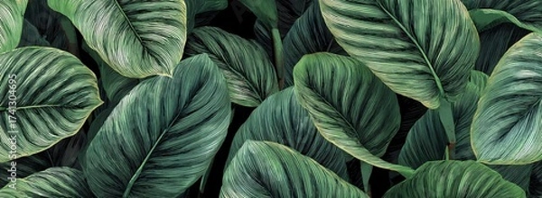 Obraz Lush Tropical Foliage A Captivating Close Up of Calathea Orbifolia Leaves with Intricate Veins and Elegant Green Tones. Generative AI
