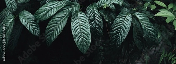 Obraz Lush Tropical Foliage Displaying Deep Greens and Intricate Leaf Patterns, Evoking a Sense of Natural Wonder and Tranquility. Generative AI