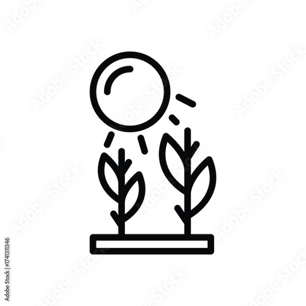 Fototapeta Two plants with leaves in a rectangular base under a sun with beams