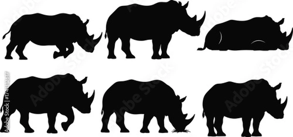 Fototapeta Rhinoceros silhouette vector set showing walking, standing, grazing, resting poses for wildlife, nature, safari, animal anatomy and behavior themes