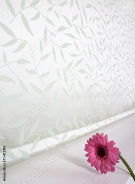 Obraz jalousie, flower