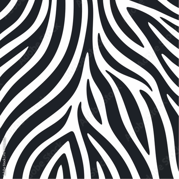 Obraz zebra skin texture vektor