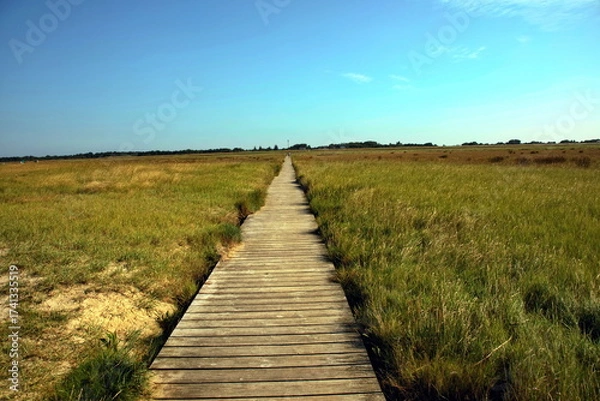 Obraz Steg durch Salzzwiese