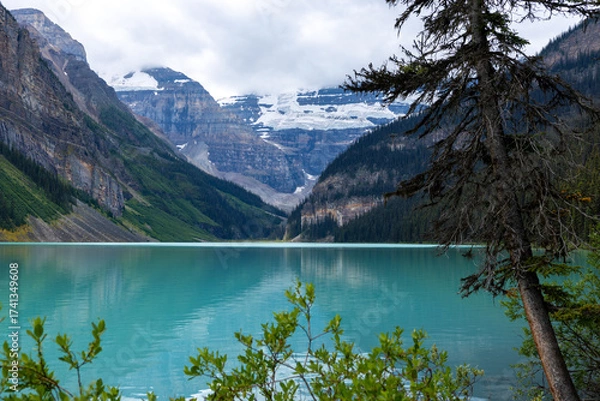 Obraz Panoramic view of a Canadian lake with green water surrounded by mountains and glaciers