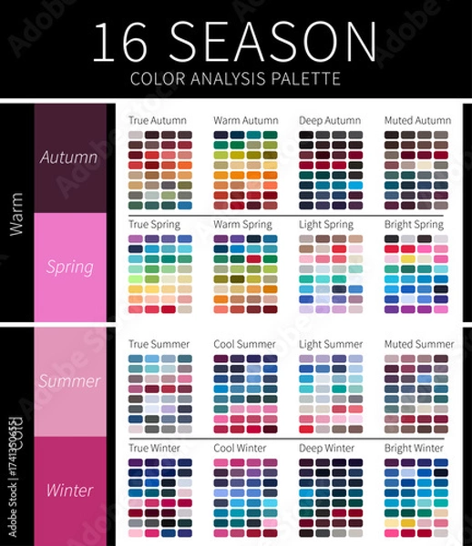 Fototapeta 16 Season Color Analysis Palette for Winters, Springs, Autumns and Summers