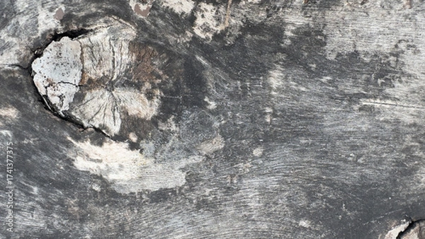 Fototapeta Gray old wood background texture. Abstract wooden backdrop with space for text.