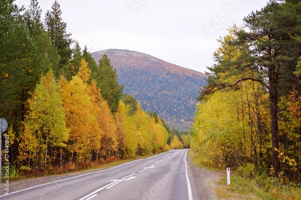 Fototapeta осенняя дорога.