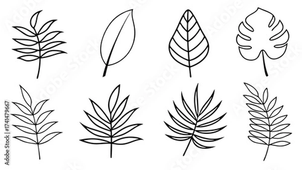 Fototapeta Tropical leaves line art bundle, Outline botanical vector icons including monstera, palm, banana, fern, palm fan silhouettes