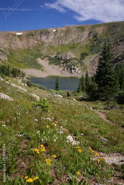 Obraz Landscape and Mountains