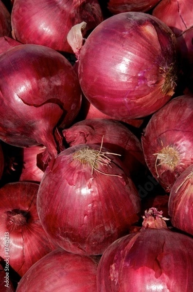 Fototapeta Red Onions