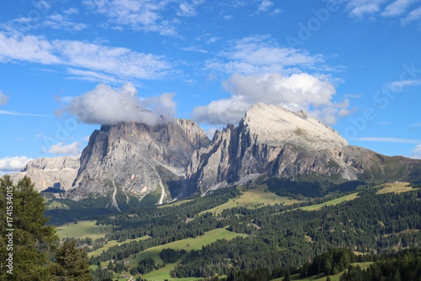 Fototapeta Verdant meadows of Alpe di Siusi bask in September sun, with Sassolungo towering in the distance.