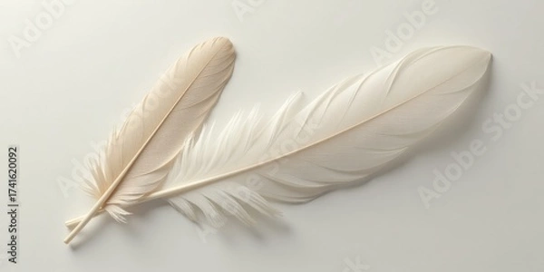 Fototapeta Delicate Pair of Creamy White and Beige Feathers on a Smooth Surface A Study in Softness and Light