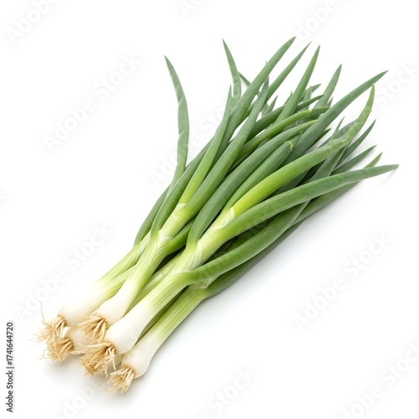 Obraz Studio-isolated photograph of fresh spring onions (scallions) against a clean white background, highlighting their vibrant green color, crisp texture, and freshness in a minimal  composition
