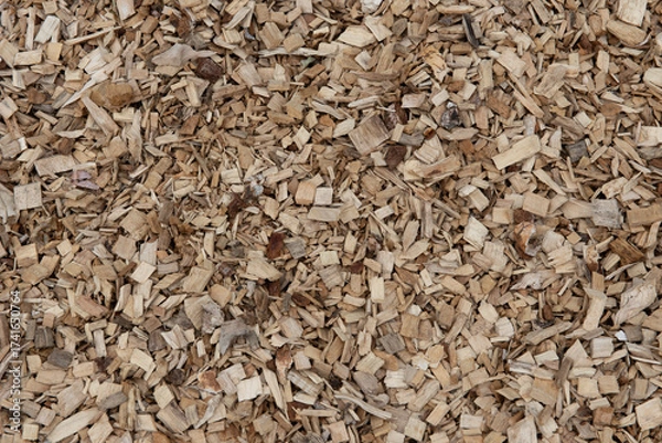Obraz Background, large pile of wood chips on forest edge