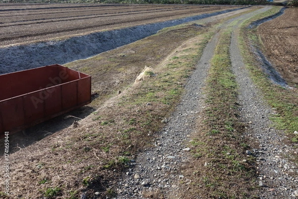 Fototapeta 春の地面のテクスチャ