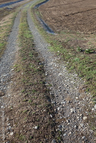 Fototapeta 春の地面のテクスチャ