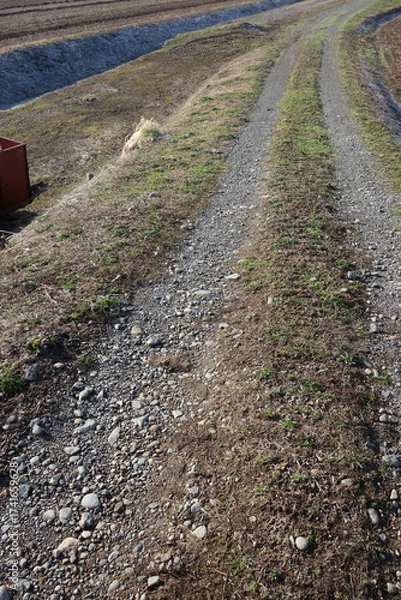 Fototapeta 春の地面のテクスチャ