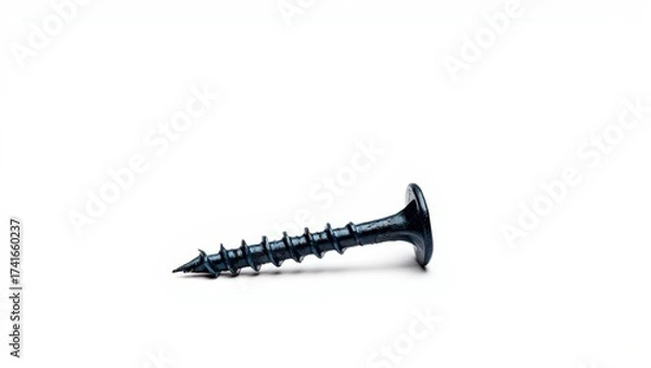 Fototapeta A single black screw lies diagonally on a clean white background — sharp, minimalist, and symbolic of construction, precision, or industrial design.
