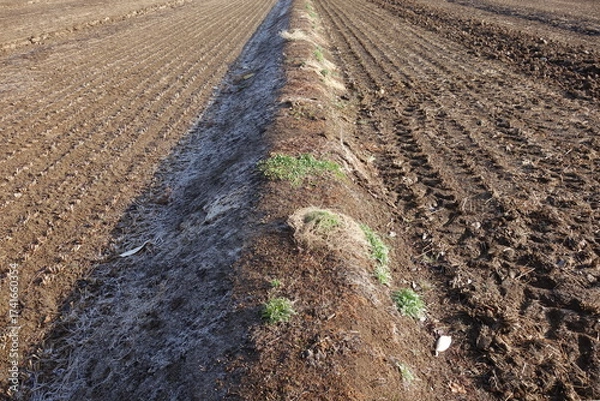 Fototapeta 春の地面のテクスチャ