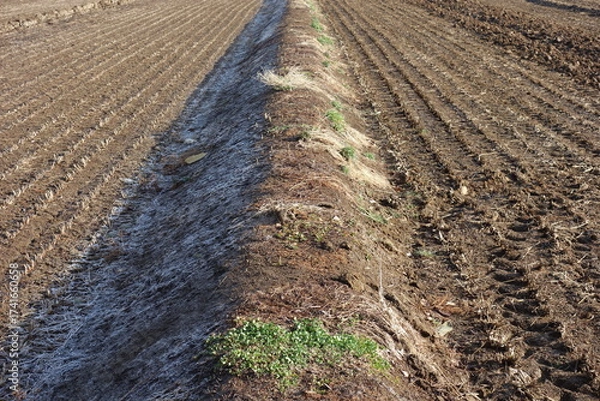 Fototapeta 春の地面のテクスチャ
