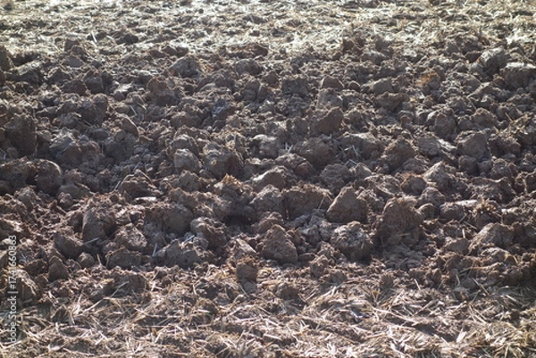 Fototapeta 春の地面のテクスチャ